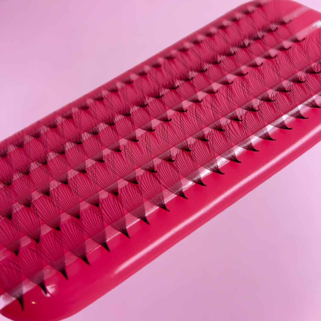 14D PROMADE SPEED ROWS – Envy Lash And Beauty Co